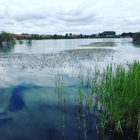 Ashby Ville Nature Reserve